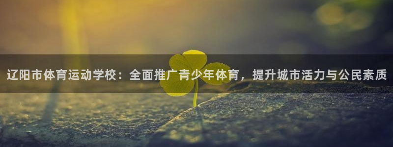 尊龙官方正版app代理：辽阳市体育运动学校：全面推广