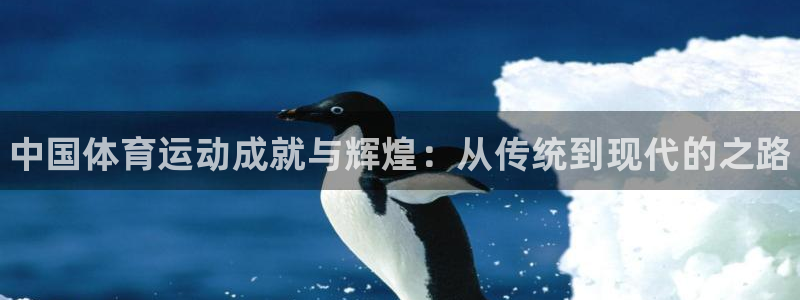 尊龙官方正版app集团官网网址：中国体育运动成就与辉