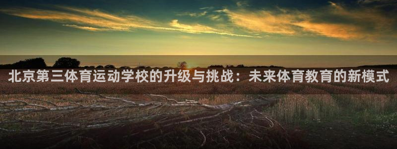 尊龙官网下载平台注册要钱吗安全吗：北京第三体育运动学