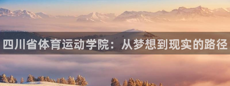 尊龙官方正版app娱乐代理怎么样：四川省体育运动学院