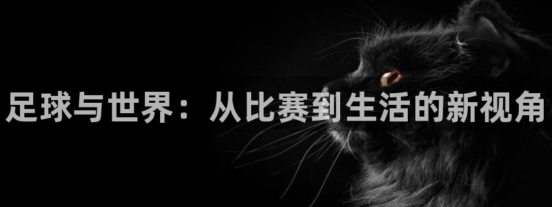 尊龙官方正版app娱乐平台：足球与世界：从比赛到生活