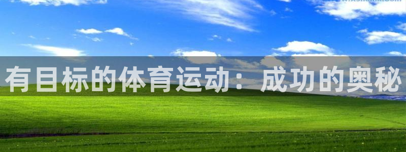 尊龙官网下载软件：有目标的体育运动：成功的奥秘