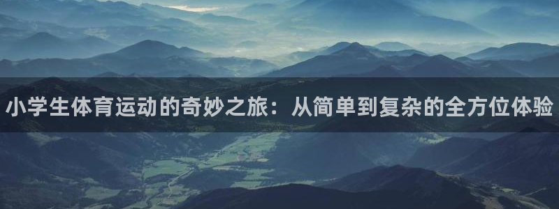 尊龙官网下载平台：小学生体育运动的奇妙之旅：从简单到复杂的全