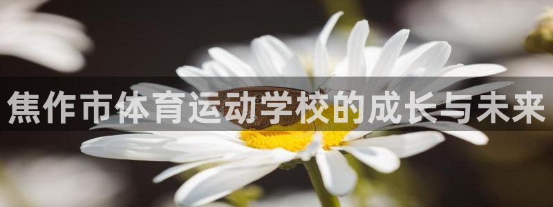 尊龙官网下载：焦作市体育运动学校的成长与未来