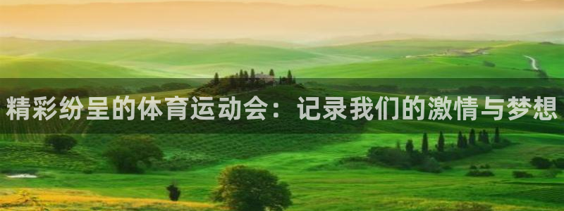 尊龙官网下载招商电话是多少啊：精彩纷呈的体育运动会：
