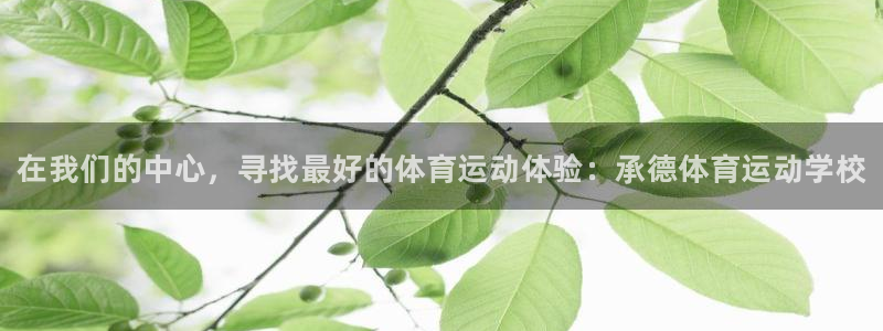 尊龙官网下载平台注册流程图：在我们的中心，寻找最好的