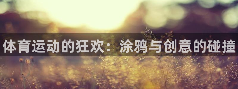 尊龙官方正版app神州：体育运动的狂欢：涂鸦与创意的