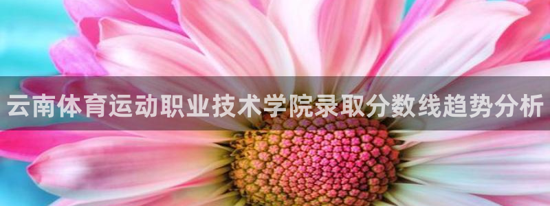 尊龙官网下载联系电话：云南体育运动职业技术学院录取分