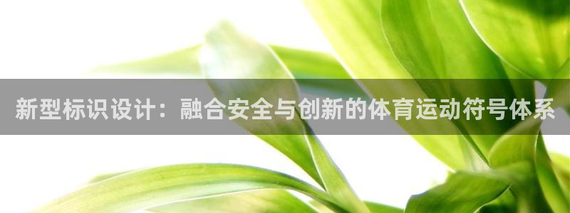 尊龙官方正版app娱乐平台：新型标识设计：融合安全与