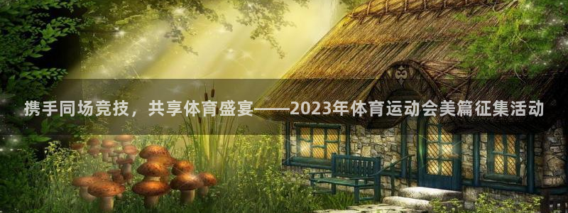 尊龙官网下载平台假的吗是真的吗：携手同场竞技，共享体