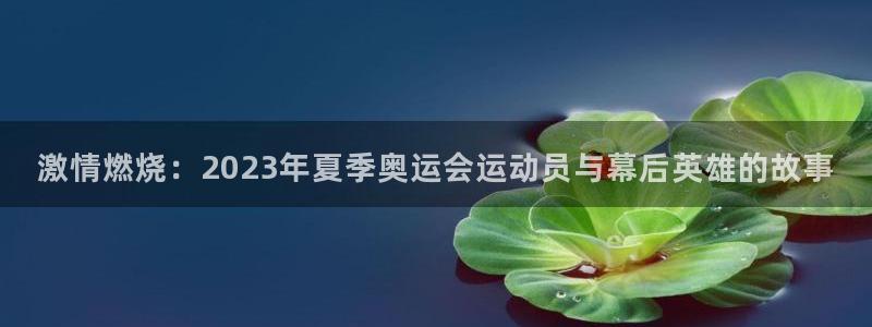 尊龙官方正版app集团：激情燃烧：2023年夏季奥运