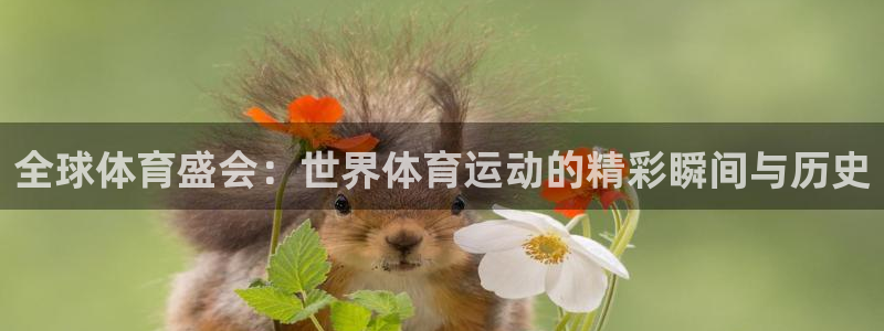 尊龙官方正版app集团：全球体育盛会：世界体育运动的