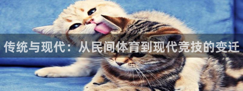 尊龙官网下载