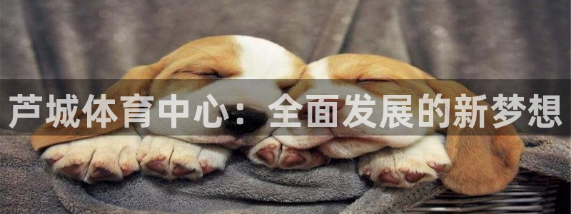 尊龙官方正版app娱乐平台：芦城体育中心：全面发展的新梦想