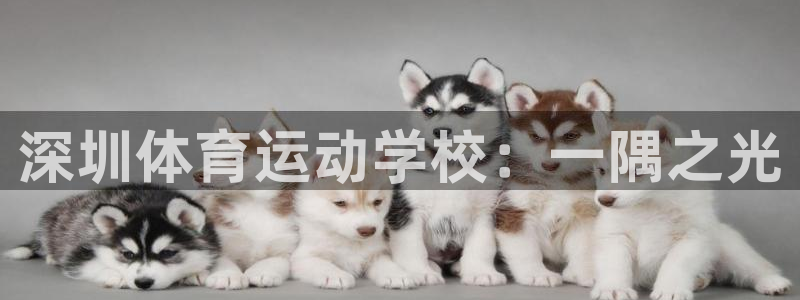 尊龙官网下载招商电话：深圳体育运动学校：一隅之光