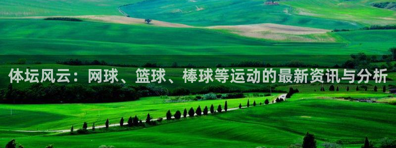 尊龙官网下载平台注册要钱吗安全吗：体坛风云：网球、篮
