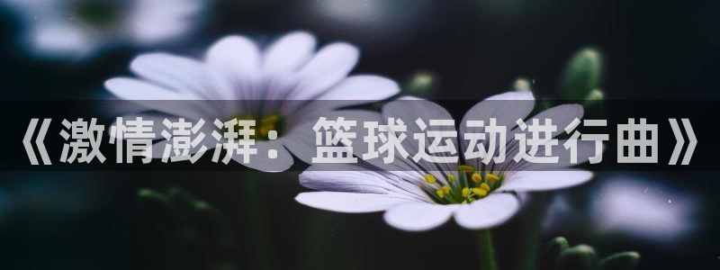 尊龙官方正版app娱乐首页官网下载：《激情澎湃：篮球
