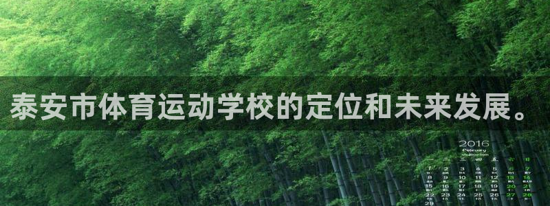 尊龙官网下载注册：泰安市体育运动学校的定位和未来发展