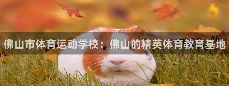 尊龙官网下载平台注册：佛山市体育运动学校：佛山的精英