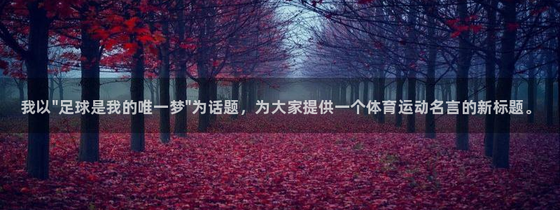 尊龙官方正版app集团官网首页网址：我以\