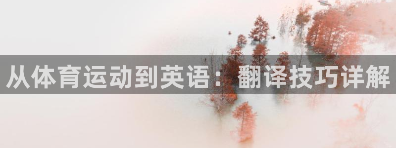 尊龙官方平台体育：从体育运动到英语：翻译技巧详解