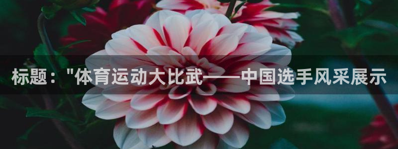 尊龙官网下载招商电话是多少：标题：\