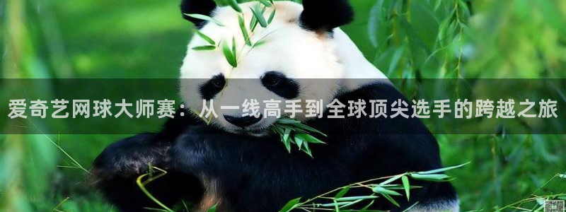 nba黑白直播nba：爱奇艺网球大师赛：从一线高手到全球顶尖选手的跨越之旅