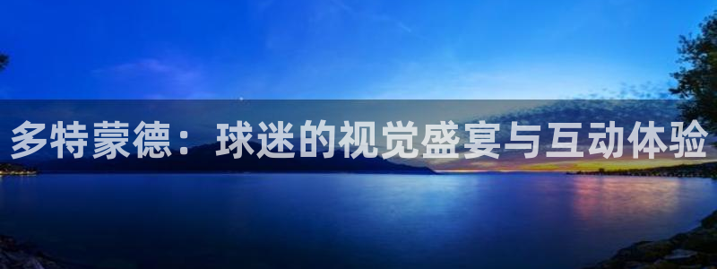 黑白直播nba在线观看回放：多特蒙德：球迷的视觉盛宴与互动体验