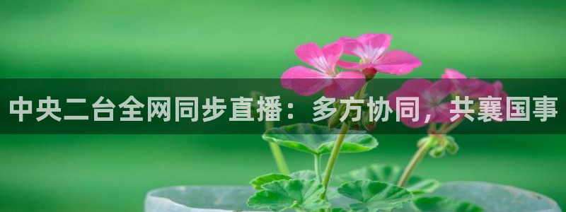 黑白体育直播nba在线播放：中央二台全网同步直播：多方协同，共襄国事