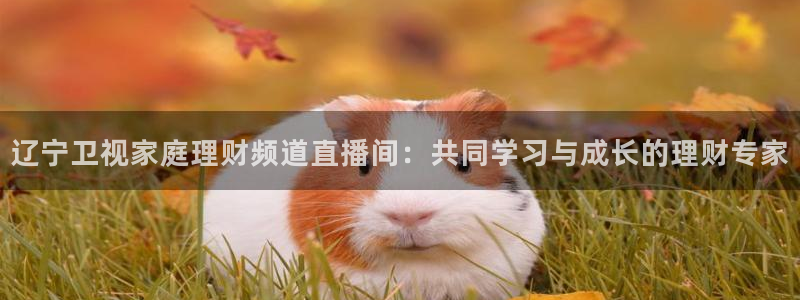 黑白足球直播在线观看