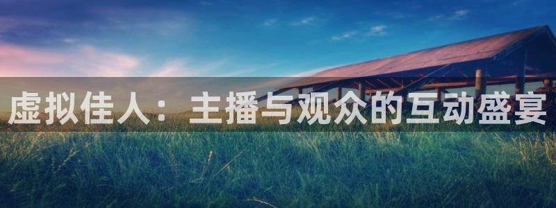 黑白体育足球直播：虚拟佳人：主播与观众的互动盛宴