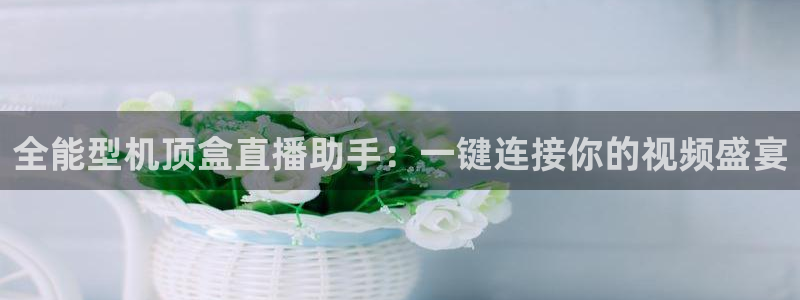 足球黑白直播免费观看直播：全能型机顶盒直播助手：一键连接你的视频盛宴