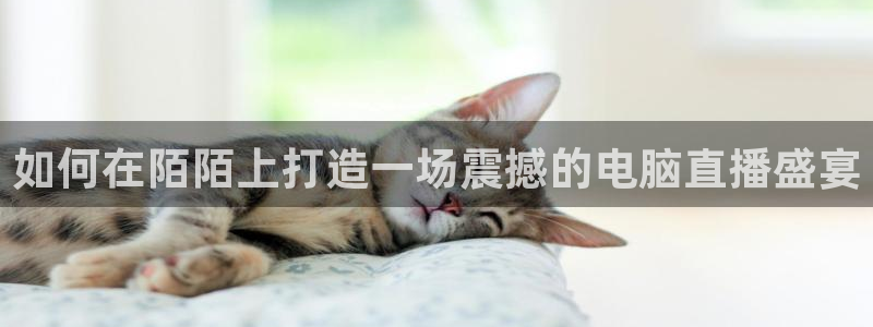 黑白直播篮球直播免费观看：如何在陌陌上打造一场震撼的电脑直播盛宴