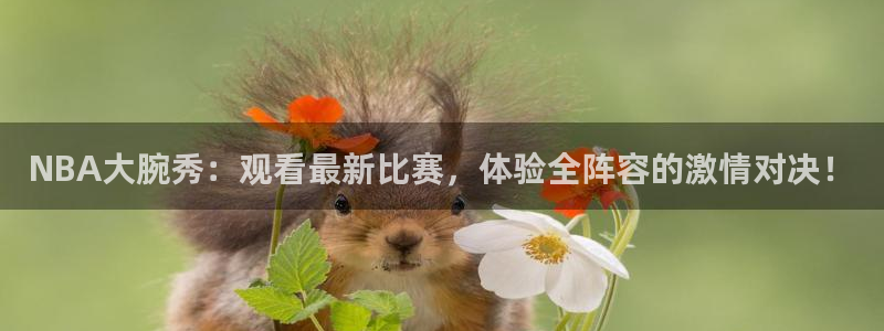 黑白体育足球直播：NBA大腕秀：观看最新比赛，体验全阵容的激情对决！
