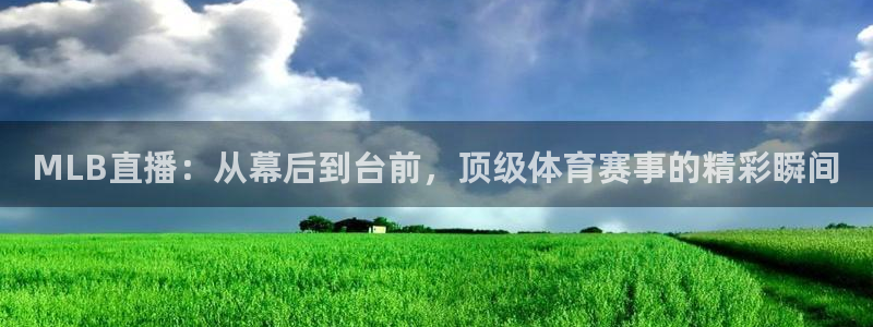 黑白直播体育app下载ios：MLB直播：从幕后到台前，顶级体育赛事的精彩瞬间