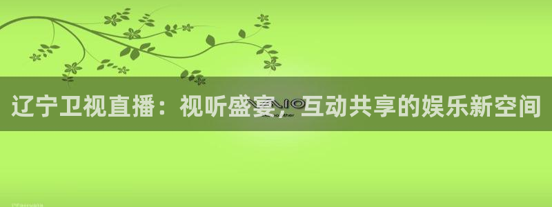 9球直播足球赛事直播黑白：辽宁卫视直播：视听盛宴，互动共享的娱乐新空间