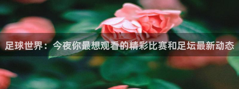 黑白直播体育直播app下载：足球世界：今夜你最想观看的精彩比赛和足坛最新动态